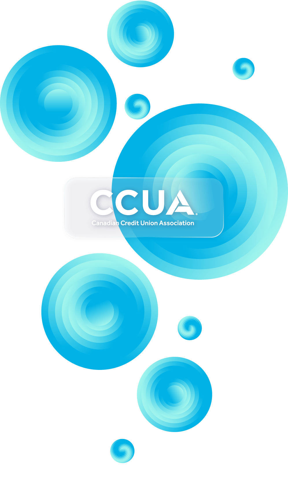 LP_CCUA_26_header